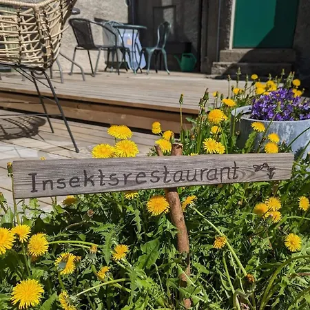 First Breiseth Lillehammer