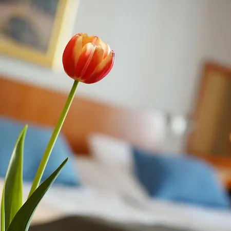 Breiseth Hotel